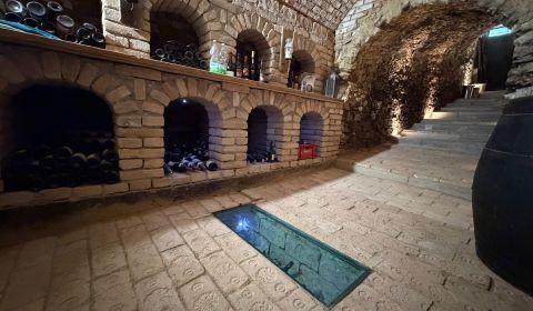 Exklusiver historischer Weinkeller in Edelstal 