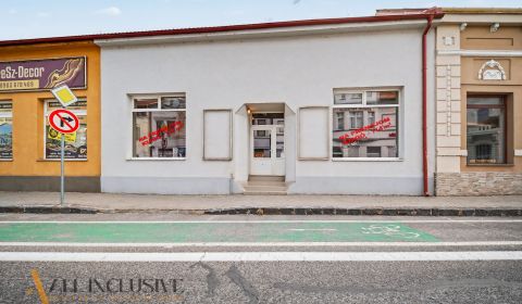 Mieten Geschäftsräumlichkeiten, Geschäftsräumlichkeiten, Hlavná, Dunaj