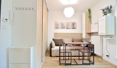 Mieten 1-Zimmer-Wohnung, 1-Zimmer-Wohnung, Antolská, Bratislava - Petr