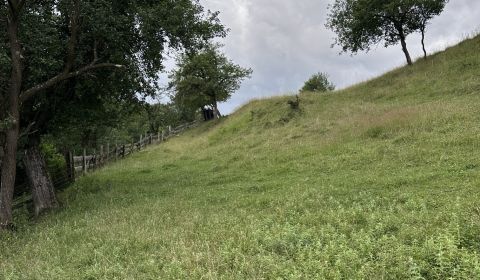 Kaufen landwirtsch. Grundstücke, landwirtsch. Grundstücke, Kysucké Nov