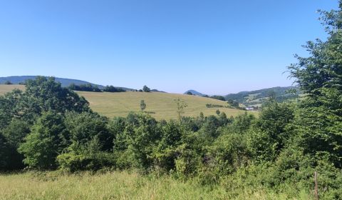 Kaufen landwirtsch. Grundstücke, landwirtsch. Grundstücke, Kysucké Nov