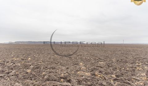 Kaufen landwirtsch. Grundstücke, landwirtsch. Grundstücke, Malacky, Sl