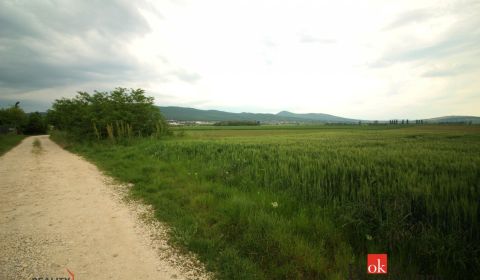Kaufen Baugrund, Nitra, Slowakei