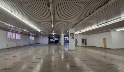 Mieten Geschäftsräumlichkeiten, Geschäftsräumlichkeiten, Štefánikova t