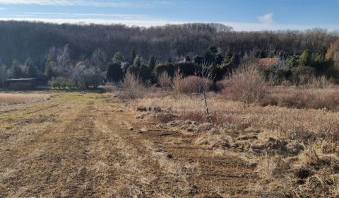 Kaufen Baugrund, Baugrund, Pod brezami, Nitra, Slowakei