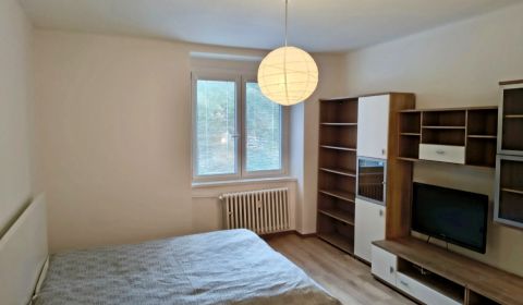Mieten 1-Zimmer-Wohnung, 1-Zimmer-Wohnung, Miletičova, Bratislava - Ru
