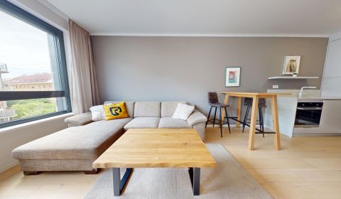 Mieten 1-Zimmer-Wohnung, 1-Zimmer-Wohnung, Radlinského, Bratislava - S