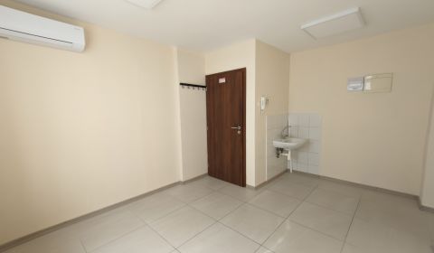 Mieten Geschäftsräumlichkeiten, Geschäftsräumlichkeiten, Moravská, Nit