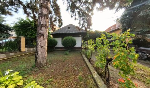 Kaufen Einfamilienhaus, Einfamilienhaus, Hlavná, Nitra, Slowakei