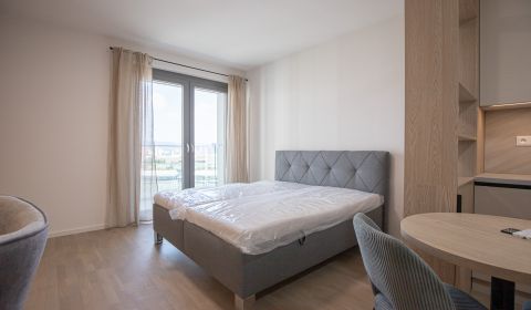 Mieten 1-Zimmer-Wohnung, 1-Zimmer-Wohnung, Bottova, Bratislava - Staré