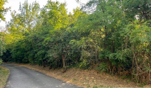 Kaufen Garten, Garten, Senec, Slowakei