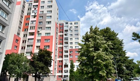 Kaufen 3-Zimmer-Wohnung, 3-Zimmer-Wohnung, Andrusovova, Bratislava - P