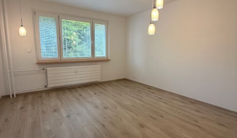 Mieten 2-Zimmer-Wohnung, 2-Zimmer-Wohnung, Starohorská, Banská Bystric