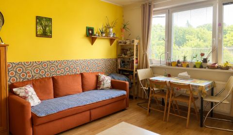 Kaufen 2-Zimmer-Wohnung, 2-Zimmer-Wohnung, Studenohorská, Bratislava -