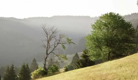 Kaufen landwirtsch. Grundstücke, Veľký Krtíš, Slowakei