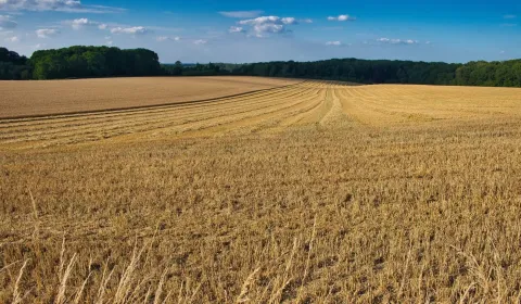 Kaufen landwirtsch. Grundstücke, Detva, Slowakei