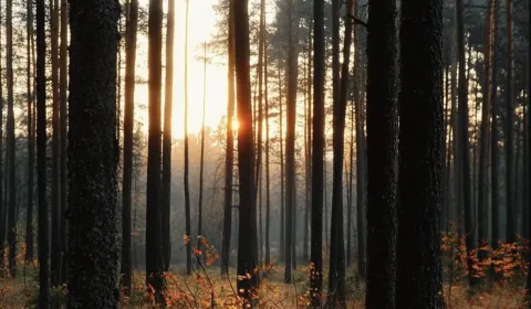 Kaufen landwirtsch. Grundstücke, Veľký Krtíš, Slowakei