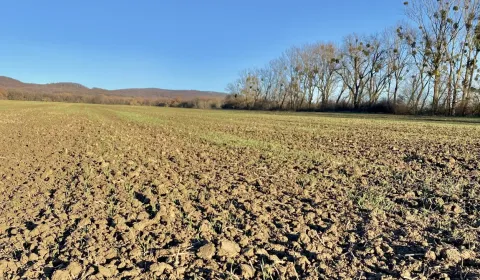Kaufen landwirtsch. Grundstücke, Michalovce, Slowakei