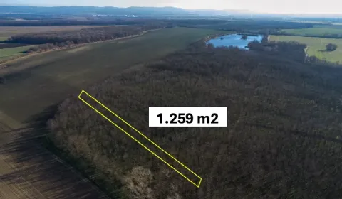 Kaufen landwirtsch. Grundstücke, Malacky, Slowakei
