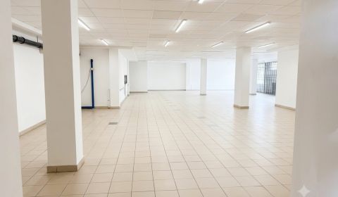 Mieten Geschäftsräumlichkeiten, Geschäftsräumlichkeiten, Strojárska, S
