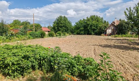 Kaufen Garten, Garten, Komárno, Slowakei