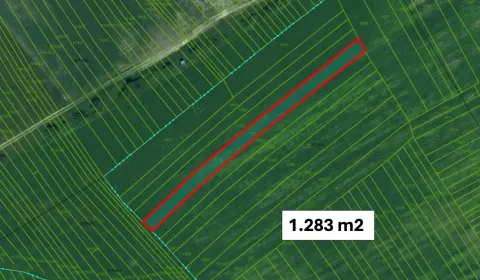 Kaufen landwirtsch. Grundstücke, Senica, Slowakei