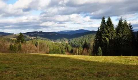 Kaufen landwirtsch. Grundstücke, Čadca, Slowakei