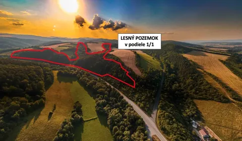 Kaufen landwirtsch. Grundstücke, Prešov, Slowakei