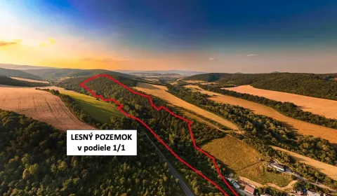 Kaufen landwirtsch. Grundstücke, Prešov, Slowakei