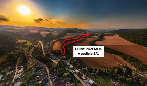 Kaufen landwirtsch. Grundstücke, Prešov, Slowakei