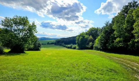 Kaufen landwirtsch. Grundstücke, Michalovce, Slowakei