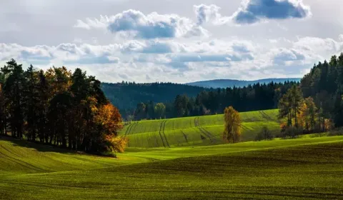 Kaufen landwirtsch. Grundstücke, Michalovce, Slowakei