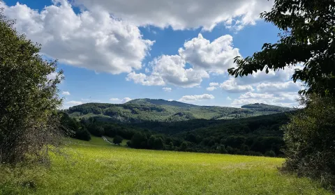 Kaufen landwirtsch. Grundstücke, Medzilaborce, Slowakei