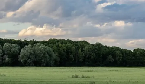 Kaufen landwirtsch. Grundstücke, Medzilaborce, Slowakei