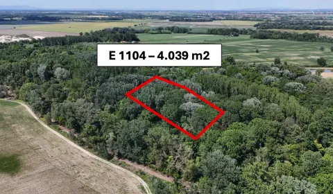 Kaufen landwirtsch. Grundstücke, Dunajská Streda, Slowakei