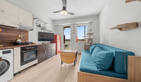 Kaufen 1-Zimmer-Wohnung, 1-Zimmer-Wohnung, Vietnamská, Bratislava - Ru