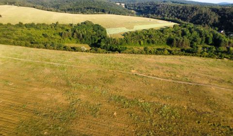 Kaufen landwirtsch. Grundstücke, landwirtsch. Grundstücke, Piešťany, S