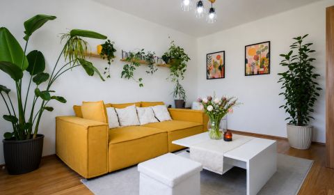 Mieten 2-Zimmer-Wohnung, 2-Zimmer-Wohnung, Trnava, Slowakei