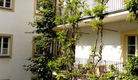 Mieten 2-Zimmer-Wohnung, 2-Zimmer-Wohnung, Kapucínska, Bratislava - St
