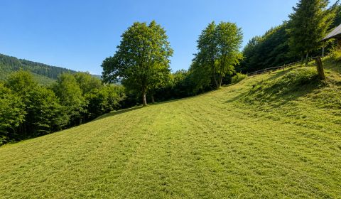 Kaufen Baugrund, Baugrund, Krásno nad Kysucou, Čadca, Slowakei