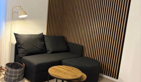 Mieten 1-Zimmer-Wohnung, 1-Zimmer-Wohnung, Trenčianska, Bratislava - R