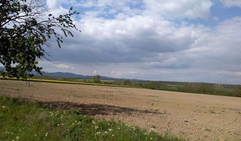 Suche Industriegrund, Industriegrund, Pezinok, Slowakei