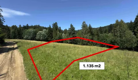 Kaufen Sonderimmobilien, Stará Ľubovňa, Slowakei