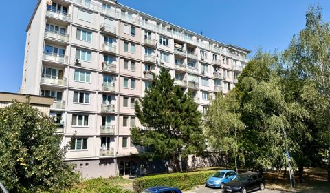 Kaufen 2-Zimmer-Wohnung, 2-Zimmer-Wohnung, Piešťanská, Bratislava - No
