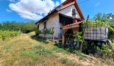 Kaufen Ferienhaus, Ferienhaus, Nové Zámky, Slowakei