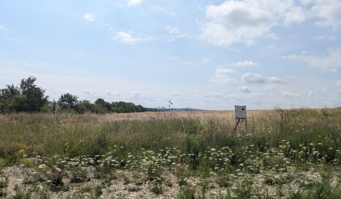 Kaufen Baugrund, Baugrund, Šípkova ulica, Nitra, Slowakei