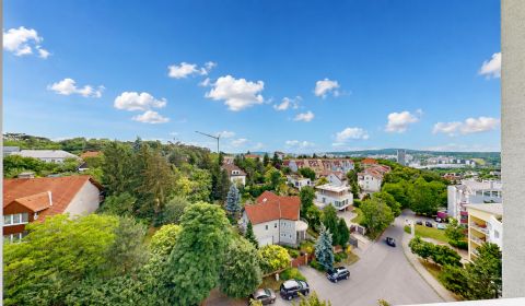 Kaufen 2-Zimmer-Wohnung, 2-Zimmer-Wohnung, Svetlá, Bratislava - Staré 