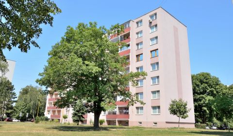 Kaufen 3-Zimmer-Wohnung, 3-Zimmer-Wohnung, Martina Rázusa, Michalovce,
