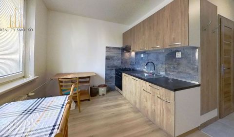 Mieten 1-Zimmer-Wohnung, 1-Zimmer-Wohnung, Vlada Clementisa, Prešov, S