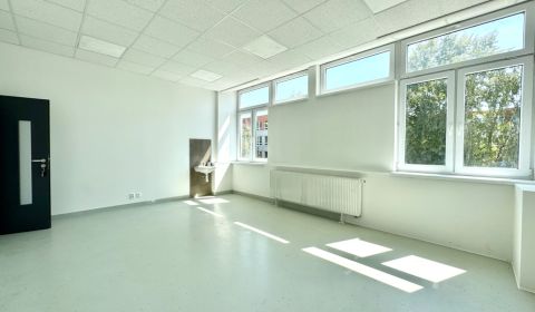 Mieten Geschäftsräumlichkeiten, Geschäftsräumlichkeiten, Krušovská, To